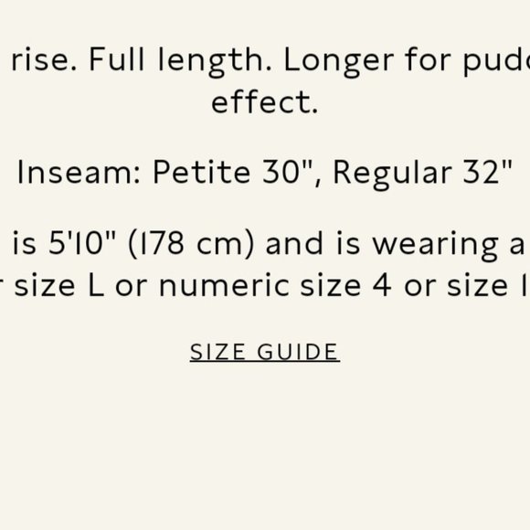 Banana Republic flannel wide leg trousers 2p Dark gray NWT - Picture 4 of 4